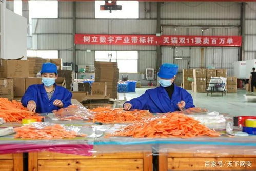 2020，最难“打工人” 一睁眼，肩上就是300人的生存